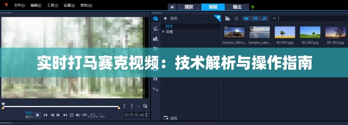 实时打马赛克视频：技术解析与操作指南