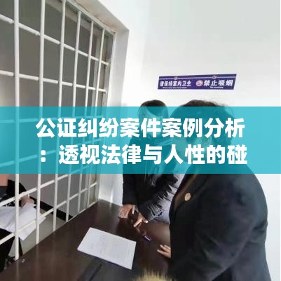 公证纠纷案件案例分析：透视法律与人性的碰撞