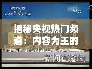 揭秘央视热门频道：内容为王的时代，它们如何赢得观众的青睐