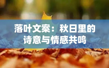 落叶文案：秋日里的诗意与情感共鸣