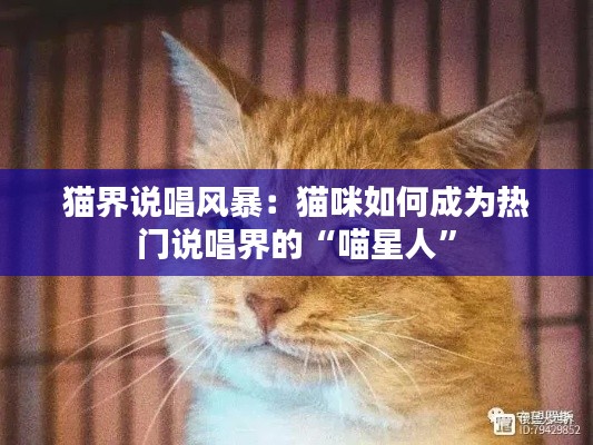 猫界说唱风暴：猫咪如何成为热门说唱界的“喵星人”