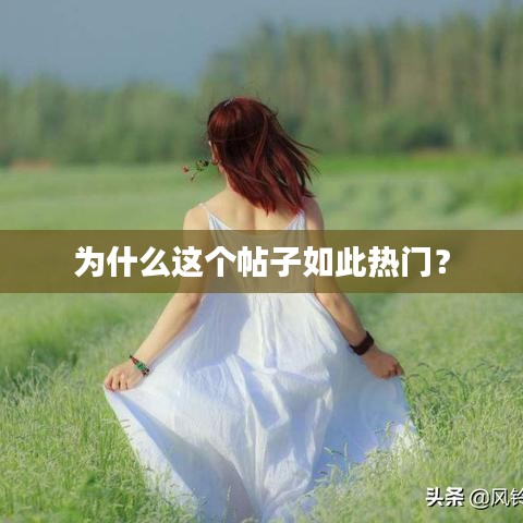 为什么这个帖子如此热门？