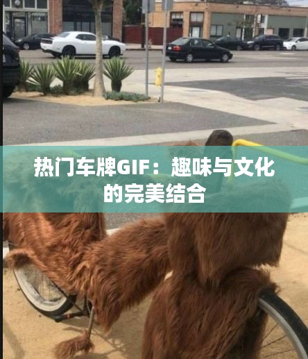 热门车牌GIF：趣味与文化的完美结合