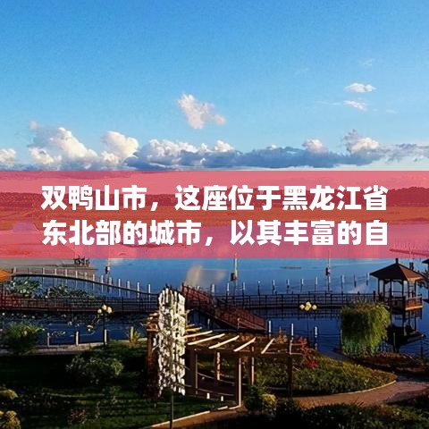 双鸭山市，这座位于黑龙江省东北部的城市，以其丰富的自然资源和独特的地理位置，吸引了众多投资者的目光。近年来，随着城市建设的不断推进，双鸭山市的商业氛围日益浓厚，各类商业项目如雨后春笋般涌现。在这个背景下，双鸭山市隔热门窗招商信息应运而生，为广大投资者提供了一个全新的商机。