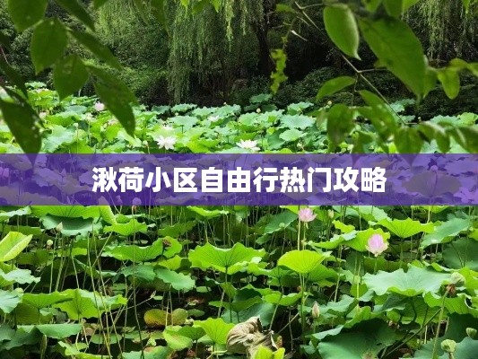 湫荷小区自由行热门攻略