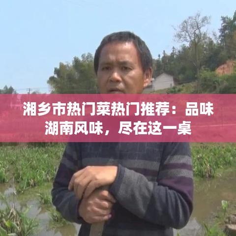 湘乡市热门菜热门推荐：品味湖南风味，尽在这一桌