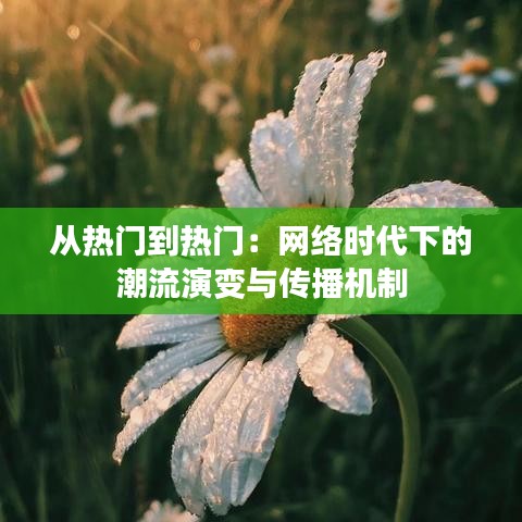 从热门到热门：网络时代下的潮流演变与传播机制