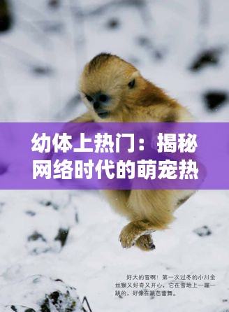 幼体上热门：揭秘网络时代的萌宠热潮