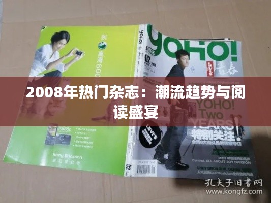 2008年热门杂志：潮流趋势与阅读盛宴