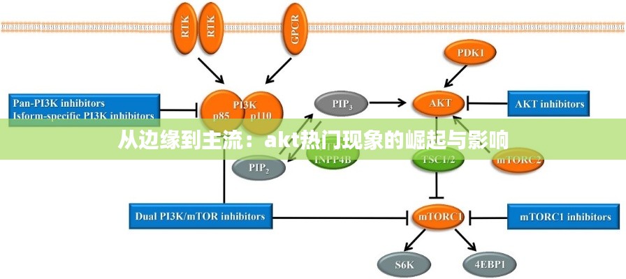 从边缘到主流：akt热门现象的崛起与影响