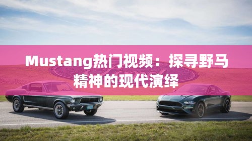 Mustang热门视频：探寻野马精神的现代演绎