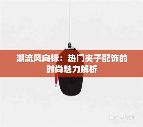 潮流风向标：热门夹子配饰的时尚魅力解析