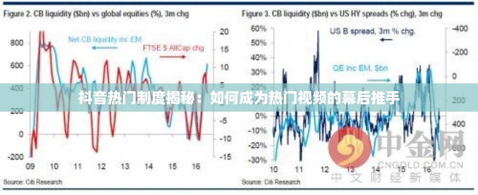 抖音热门制度揭秘：如何成为热门视频的幕后推手