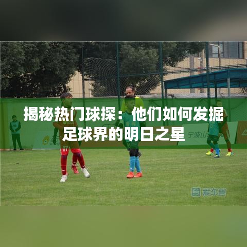 揭秘热门球探：他们如何发掘足球界的明日之星