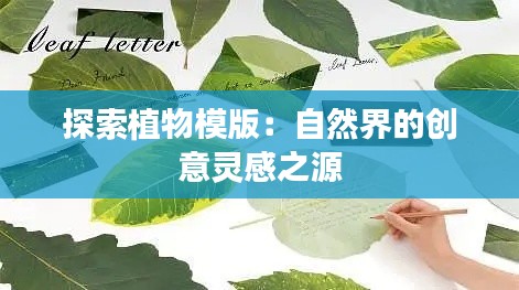 探索植物模版：自然界的创意灵感之源