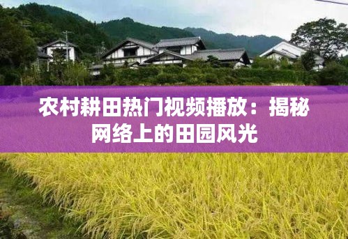 农村耕田热门视频播放：揭秘网络上的田园风光