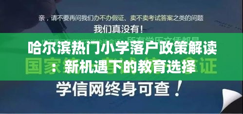 哈尔滨热门小学落户政策解读：新机遇下的教育选择