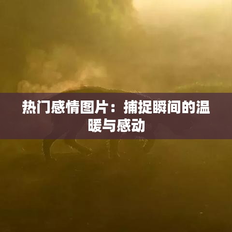 热门感情图片：捕捉瞬间的温暖与感动