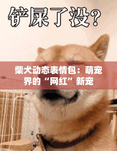 柴犬动态表情包：萌宠界的“网红”新宠