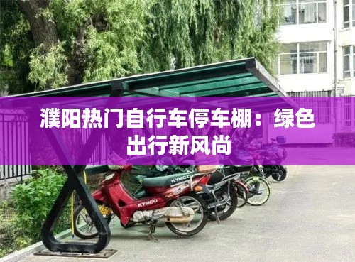 濮阳热门自行车停车棚：绿色出行新风尚