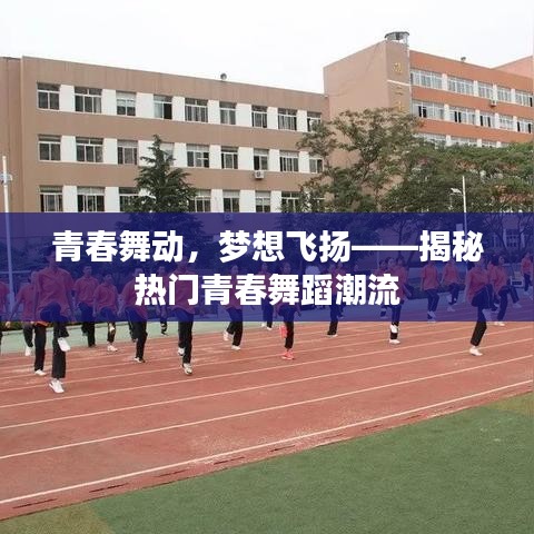 青春舞动，梦想飞扬——揭秘热门青春舞蹈潮流