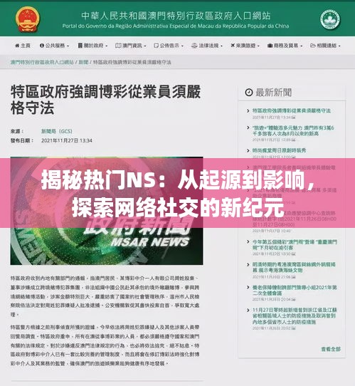 揭秘热门NS：从起源到影响，探索网络社交的新纪元