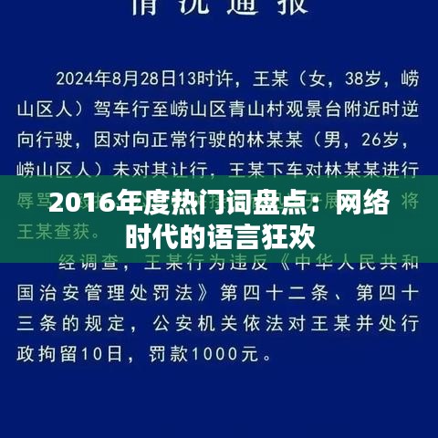 2016年度热门词盘点：网络时代的语言狂欢