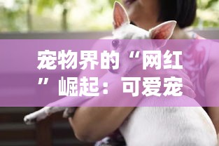 宠物界的“网红”崛起：可爱宠物如何成为热门话题