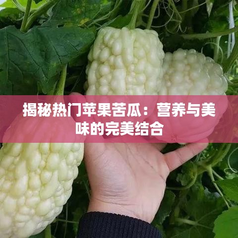 揭秘热门苹果苦瓜：营养与美味的完美结合