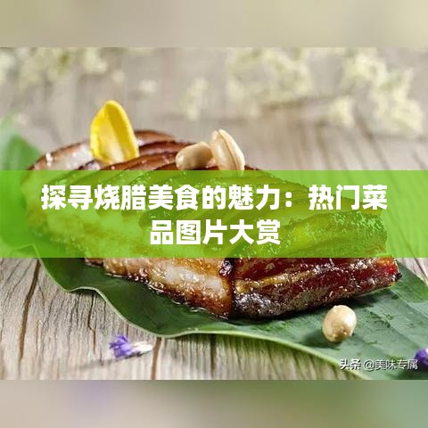 探寻烧腊美食的魅力：热门菜品图片大赏