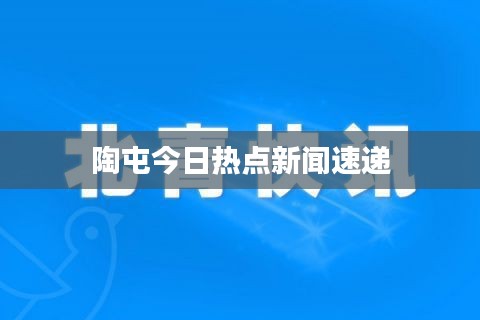 陶屯今日热点新闻速递