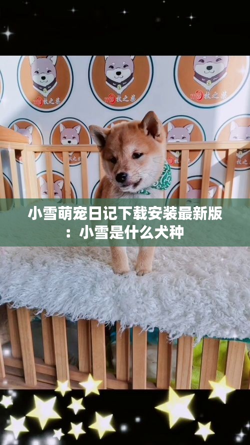 小雪萌宠日记下载安装最新版：小雪是什么犬种 