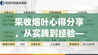 采收烟叶心得分享，从实践到经验——百度视角