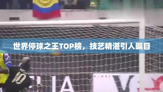 世界停球之王TOP榜，技艺精湛引人瞩目