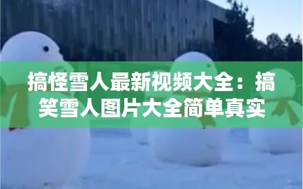 搞怪雪人最新视频大全：搞笑雪人图片大全简单真实 