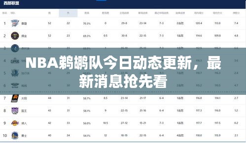 NBA鹈鹕队今日动态更新，最新消息抢先看