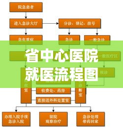 省中心医院就医流程图最新：省中医院看病流程 