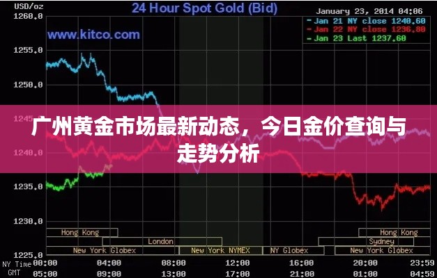 广州黄金市场最新动态，今日金价查询与走势分析