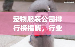 宠物服装公司排行榜揭晓，行业领军者风采展示！