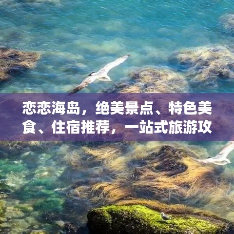 恋恋海岛，绝美景点、特色美食、住宿推荐，一站式旅游攻略