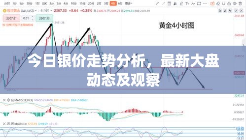 今日银价走势分析，最新大盘动态及观察