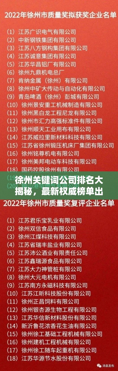 徐州关键词公司排名大揭秘，最新权威榜单出炉！