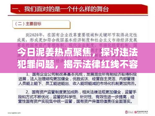 今日泥姜热点聚焦，探讨违法犯罪问题，揭示法律红线不容逾越