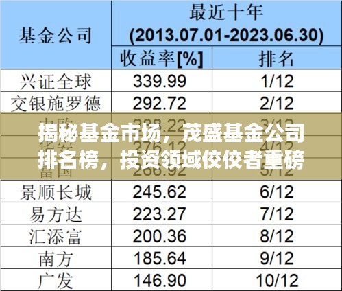 揭秘基金市场，茂盛基金公司排名榜，投资领域佼佼者重磅出炉！