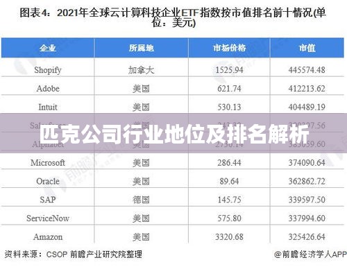 匹克公司行业地位及排名解析