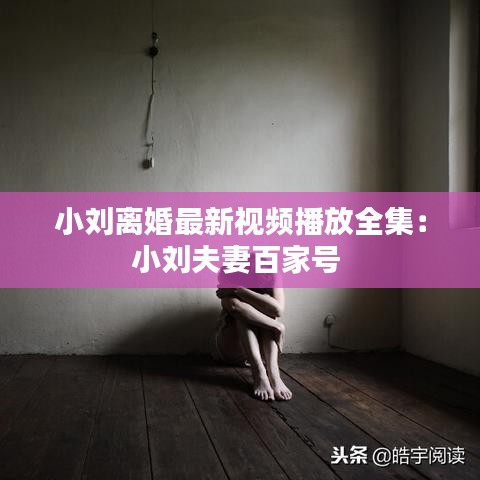 小刘离婚最新视频播放全集：小刘夫妻百家号 