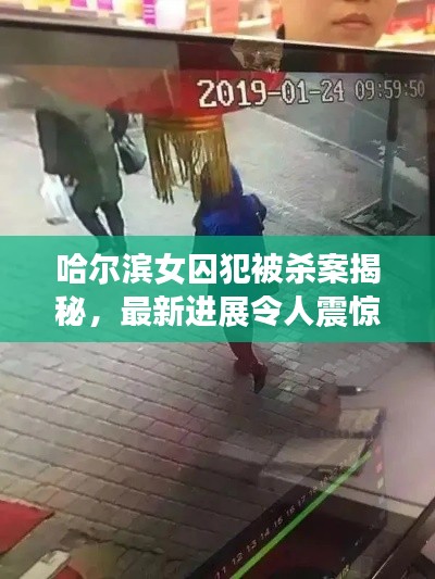 哈尔滨女囚犯被杀案揭秘，最新进展令人震惊