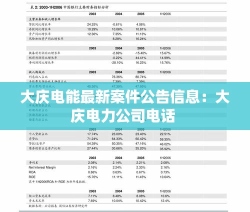 大庆电能最新案件公告信息：大庆电力公司电话 