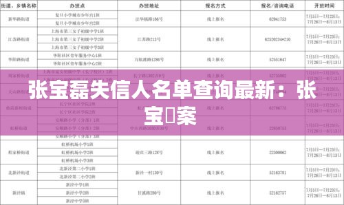 张宝磊失信人名单查询最新：张宝袆案 