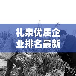 礼泉优质企业排名最新名单：礼泉有哪些厂招工 